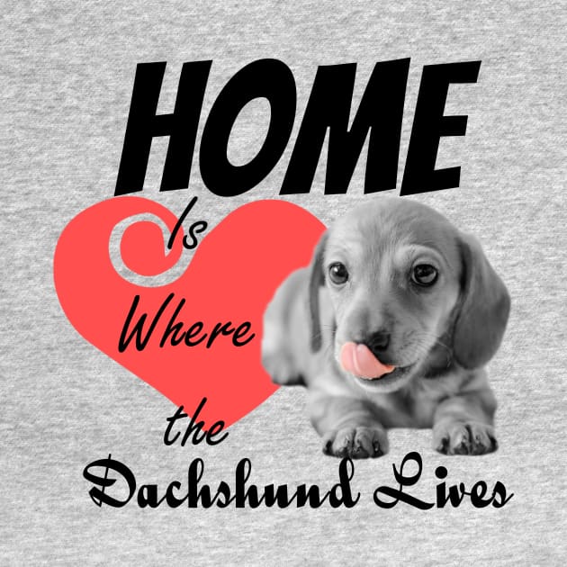 Home is Where the Dachshund Lives by tribbledesign